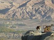 Descubren Afganistán recursos minerales valor billón dólares