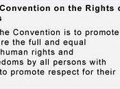 Seguimiento Convención sobre Derechos Personas Discapacidad: innovaciones, pérdida oportunidades, potencial futuro.