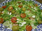 Ensalada Brotes lentejas