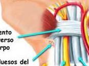 ¿Qué Neuropatía?