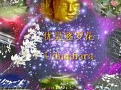 Udumbara flor celestial