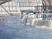 Agua Termal, Sensación, Oriental Belleza: cuatro pétalos care, espacio tratamientos Inúu