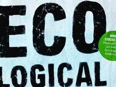 Guía para compra ecológica