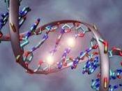ciencia confirma hubo modificación genética hace unos 4500 años