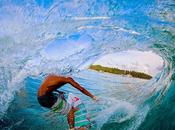 Curl Mentawai 2013