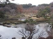 Jardines Imperiales Tokio