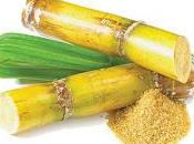 tiempo cañas azúcar