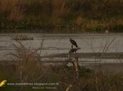 Postales desembocadura Arroyo Apepú