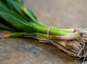 Butifarras Receta Setas Ajos Tiernos