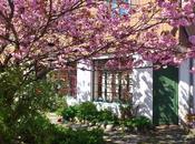 Inspiración nórdica rural