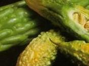 Melón amargo puede curar cáncer pancreas