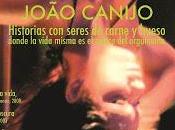 Cineteca Nacional presenta Retrospectiva João Canijo