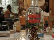 Absolut México Lakra