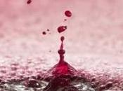 Suba precios vinos granel