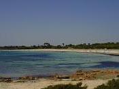 Calas Mallorca