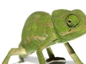 Reinvéntese constantemente