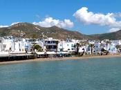 ingredientes para mejor picnic