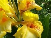 realizado todos cursos debía hacer”