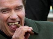 Schwarzenegger conversaciones para remake Vengador Tóxico'
