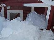 tsunami hielo arrasa población canadiense