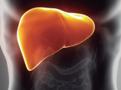 consejos para trastornos hepaticos