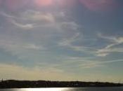 ¿conocéis proceso delegación existente vuestra compañía departamento?