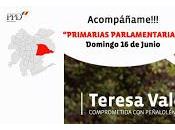 Teresa Valdés Acompáñame domingo junio primarias parlamentarias Reina Peñalolén