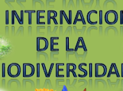 internacional Biodiversidad 2013