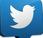 Manual Twitter: Cómo desactivar retweets (RT) cuenta dejar seguir
