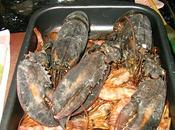 Arroz caldoso bogavante