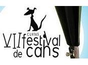 From Cannes Cans