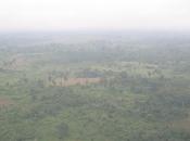 Harmattan