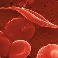 Terapia Celulas Madres Regenera Vision