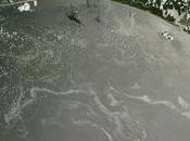 [Actualización] Webcam: derrame petróleo Golfo, directo