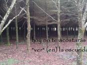 FLEX (en) oscuridad.