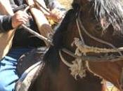 Nadie quiere solo burrito…