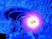 Glándula Pineal, gran manipulada