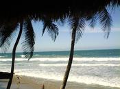 Playa cardon