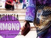 Tendencia Spring Summer Kimono 2013