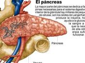 ¿Cómo cuidar páncreas?