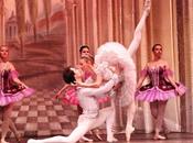 Classical Russian Ballet. bella durmiente.