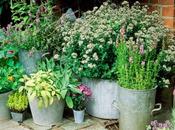 Crear jardín macetas