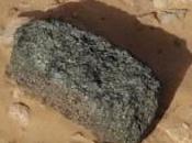 Meteorito hallado África entrega nuevos detalles sobre Marte