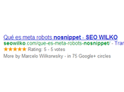 meta robots nosnippet