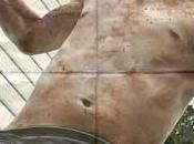 [Especial NOCTURNA] House Flies