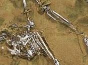 Descubren esqueleto antiguo primate