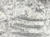 Inscripción Tifinagh Canario-Sahariana Gran Pirámide Kheops