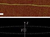 nanotubos carbono resonancia Magnetica