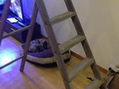 DIY: Renovando escalera