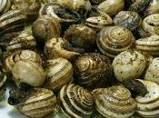 Receta Caracoles Fritos picantes